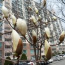 묘하우스 이미지