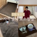 오행생식 - 대덕구 홍도로125번길 10 | 서울효소찜질 신림 봉천역 자하생식 효소찜질 체험 후기 효능