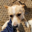 세영자원 이미지