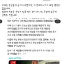 [펌] VOK 입틀막한 국힘, ㅇㄱㅈㅉㅇ?? 이미지