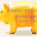 황금돼지 - 화성시 수노을중앙로 136 | 황금돼지