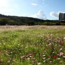 광양커뮤니티센터 이미지