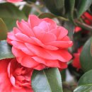 작은어촌 이미지