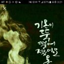 계란마을 티스토리