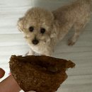 만나찹쌀도너츠