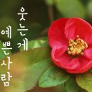 반려동물 아로마 테라피 자격증 이미지