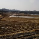 초촌리 고분군 이미지