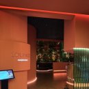 제일엘디스 | 대구 신상 호텔 라운지 추천 | 엘디스리젠트호텔 인헤리턴스라운지 디너 라운지 이용 솔직 리뷰