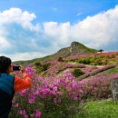 산청 - 순천시 | 산청