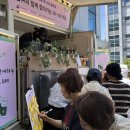 대영식품(주)
