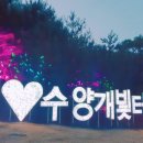 오성만두2 이미지