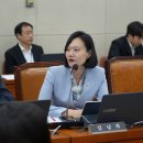 김남희 카카오 검색결과