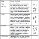 Parasites & Pollution, The Worst Parasite, Pollution(Solvent, Metal), Mycotoxins,Toxins(Physical,Chemical) 이미지