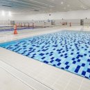 아레나 수영장 이미지