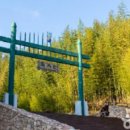 담양대나무축제 이미지