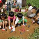 초의선사탄생지 기념전시관 이미지