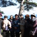 꼬리 노래연습장 이미지