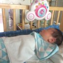 로앙쥬베베 이미지