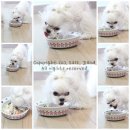 강아지오요요 이미지