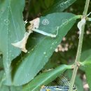 보람노래연습장 이미지