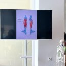 [광주뉴욕필라테스/광주클래식필라테스/리얼무브아카데미]-기능해부학 필라테스 수업 후기