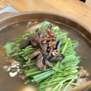 버섯마루 | [영등포] 능이버섯 백숙 맛집 당산마루 재방문 후기: 엄마 몸보신으로 오리백숙이 딱!