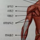 제이엘필라테스 이미지
