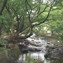 순천용오름마을 이미지