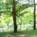 조은석 특검에게 무식하다고 한 조정훈, 주진우를 제치고 요즘 떠오르는 국힘 모지리 에이스! 이미지