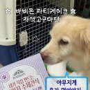 (11/21)반려동물 수제간식 고구마쿠키 | [바비온 파티 케이크_자색고구마] 강아지 케이크 / 강아지 생일 / 반려동물 케이크 / 강아지 수제 간식