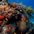 바다속이야기 이미지