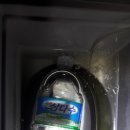 칭구장어 이미지