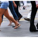 피트니스넘버원 이미지