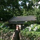 수일목장 이미지