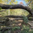 당정골계곡 이미지