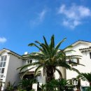 호텔리젠 이미지