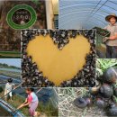 해아리농장 이미지