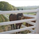 원동목장 이미지