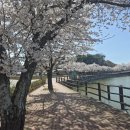 갈전리 | 경북 안동 도청신도시 호민지 수변생태공원 방문 후기!!