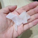 900105 | 양요섭 솔로콘서트 [BITTER SWEET] 후기