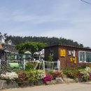 도담 펜션민박 이미지