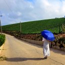 경강로/올림픽로 이미지