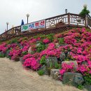 너랑나랑 펜션 민박 이미지