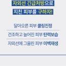 선피부관리 - 양평군 | 선피부관리