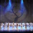 VIP태권도 이미지