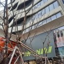 남자 눈썹정리 고민이라면? / 눈썹 무료컨설팅 '올리브영 n성수' 맨즈브로우 서비스 후기