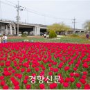 낙동강관리본부 화명생태공원 10 이미지