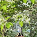 신나는머리나라 이미지