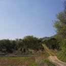 쌍룡초 토교분교장 이미지