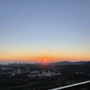 소노펠리체 델피노 이미지